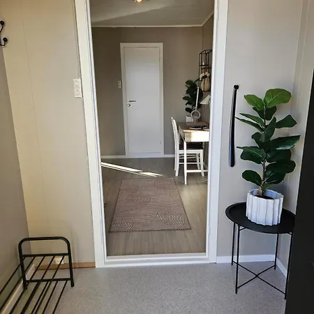 Gultoppen Tromsø